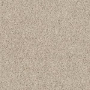 Ambiant Austin - 0030 Champagne 1475003043