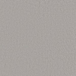 Ambiant Cleveland - 0165 Lichtgrijs 2160016543