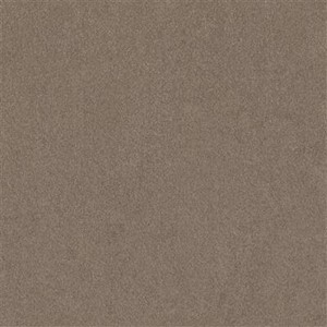 Ambiant Maryland - 0535 Taupe 1325053543