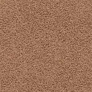 Ambiant Barbet - 0645 Terra 1740064543