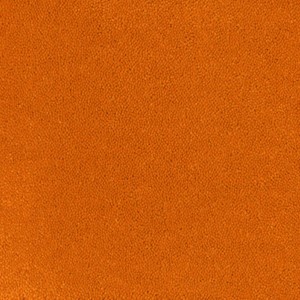Desso Asteranne 50 - 5101 Asteranne 50