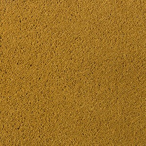 Desso Asteranne 50 - 6101 Asteranne