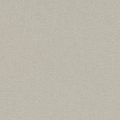 Forbo Bulletin Board - 2206 Oyster Shell