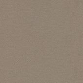 Forbo Bulletin Board - 2208 Mushroom Medley