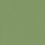 Forbo Bulletin Board - 2213 Baby Lettuce