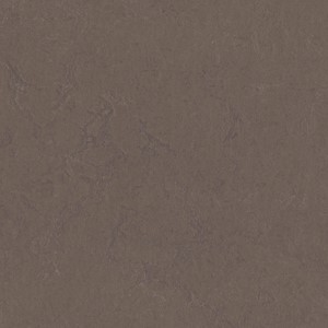 Forbo Solid Concrete - 3568 Delta Lace
