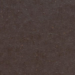 Forbo Cocoa - 3581 Dark Chocolate