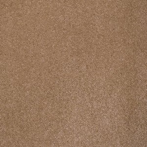 Gelasta Mystic - 72 Beige