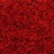 Hamat 245 Variant - 353 Red