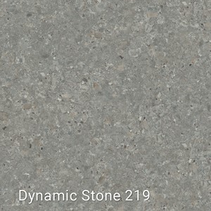 Interfloor Dynamic Stone - Dynamic Stone 219