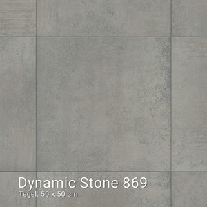 Interfloor Dynamic Stone - Dynamic Stone 869