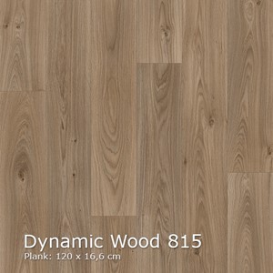 Interfloor Dynamic Wood - Dynamic Wood 815