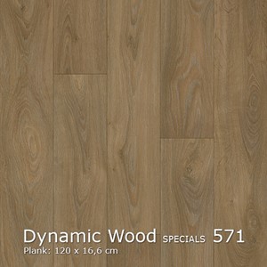 Interfloor Dynamic Wood Specials - Dynamic Wood Specials 571