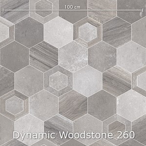Interfloor Dynamic Woodstone - Dynamic Woodstone 260