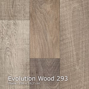 Interfloor Evolution Wood - Evolution Wood 293