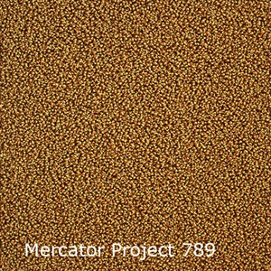 Interfloor Mercator Project - Mercator Project 789