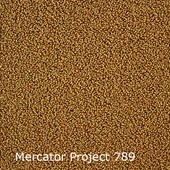 Interfloor Mercator Project - Mercator Project 789