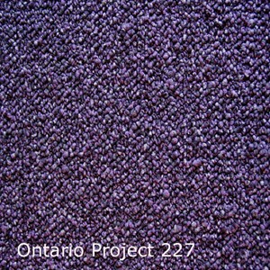 Interfloor Ontario Project - Ontario Project 227