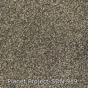 Interfloor Planet Project - Planet Project 919