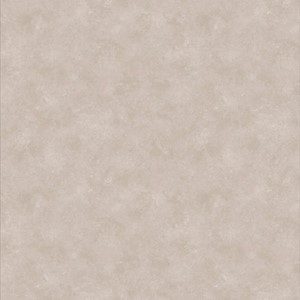 Lifestyle Interior Massive Concrete - 47 Fawn