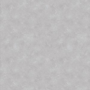 Lifestyle Interior Massive Concrete - 48 Smoke
