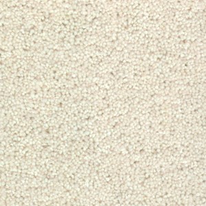 Nouwens Bogaers Woolstar - 1405 Cream