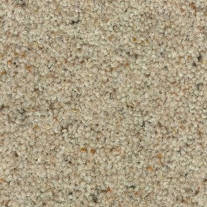 Nouwens Bogaers Nature - 2106 Steppe