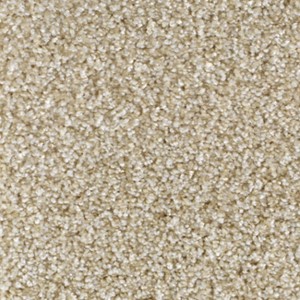Nouwens Bogaers Passion - 21610