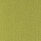 Nouwens Bogaers Scala - 25230