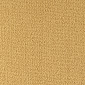 Nouwens Bogaers Scala - 25634