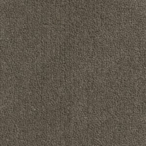 Nouwens Bogaers Thebe - 2840