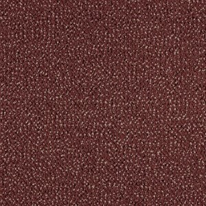 SmartStrand Fancy - 1101